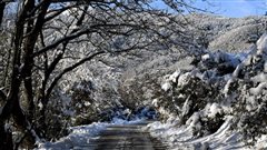 Μέχρι την Τρίτη θα διατηρηθεί ο παγετός σε περιοχές της Μακεδονίας
