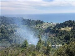 Υπό έλεγχο η φωτιά στη Χαλκιδική