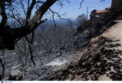 Νέα έρευνα για τις φωτιές σε Μάνη και Κύθηρα το 2017 μετά τις αποκαλύψεις!