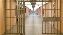 Άρχισε η μεταγωγή των καταδικασθέντων για την Χρυσή Αυγή στις φυλακές