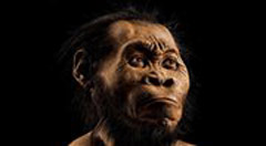 Αρχαιότερος από όσο πιστεύαμε ο Homo sapiens