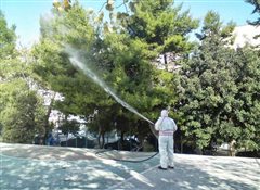 Καλαμαριά: Αρχίζουν οι ψεκασμοί πεύκων από σήμερα