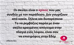 Οι σκύλοι