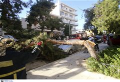 Πτώση δέντρου και στην Καλαμαριά από την κακοκαιρία