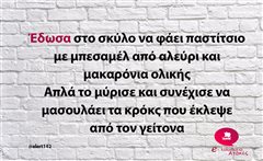Έδωσα στο σκύλο