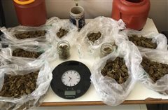 Συλλήψεις για ναρκωτικά σε Πέλλα και Πιερία (ΦΩΤΟ)