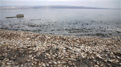 Τα μέτρα για τη σωτηρία της λίμνης Κορώνεια